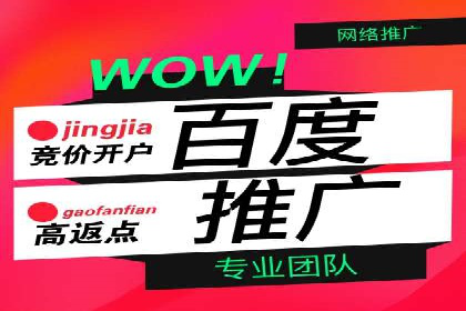 百度优化推广案例：案例分析及优化方案