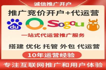 SEM广告投放中的数据监控与调整策略——以某品牌营销案例为例